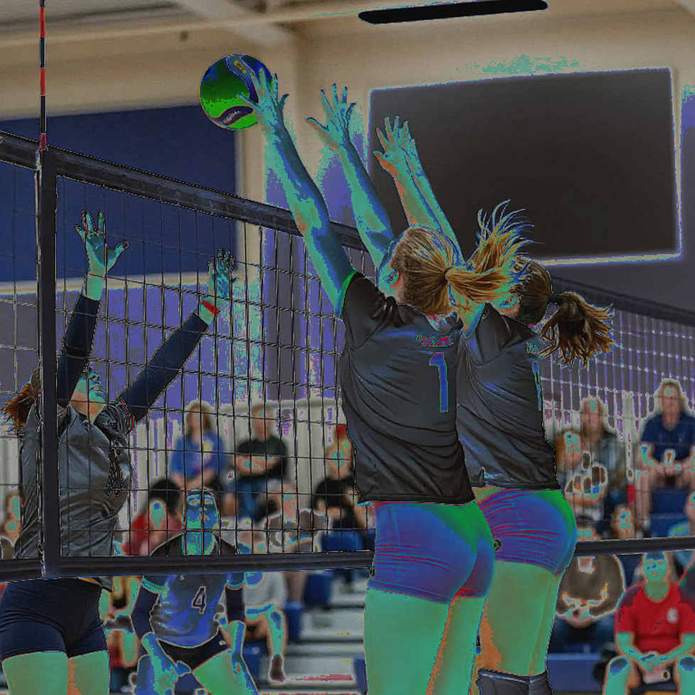 Pool A of Women's Volleyball at the 2026 Asian Games: Japan, Indonesia, and the Data Void Inside a Schedule Notice